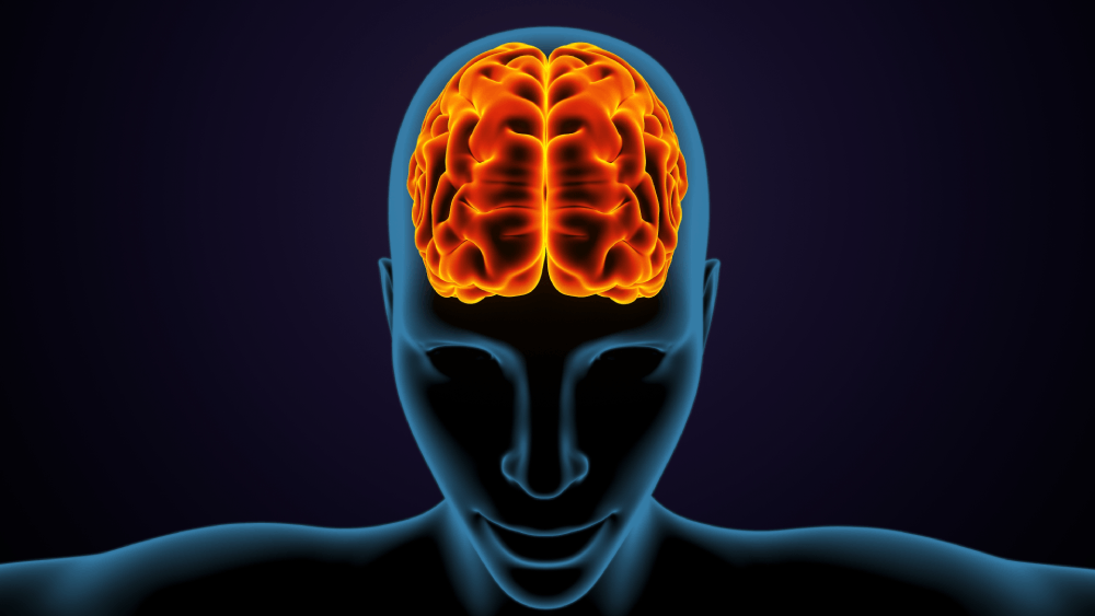 How Marijuana Affects Your Brain